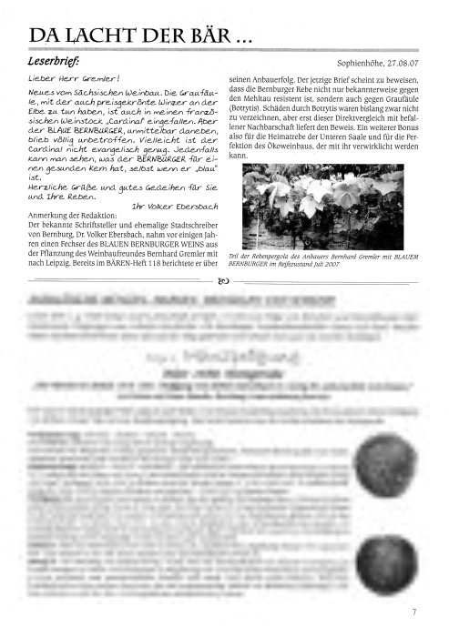 Pressebeitrag Bernburger Bär Nr. 119 Seite 7